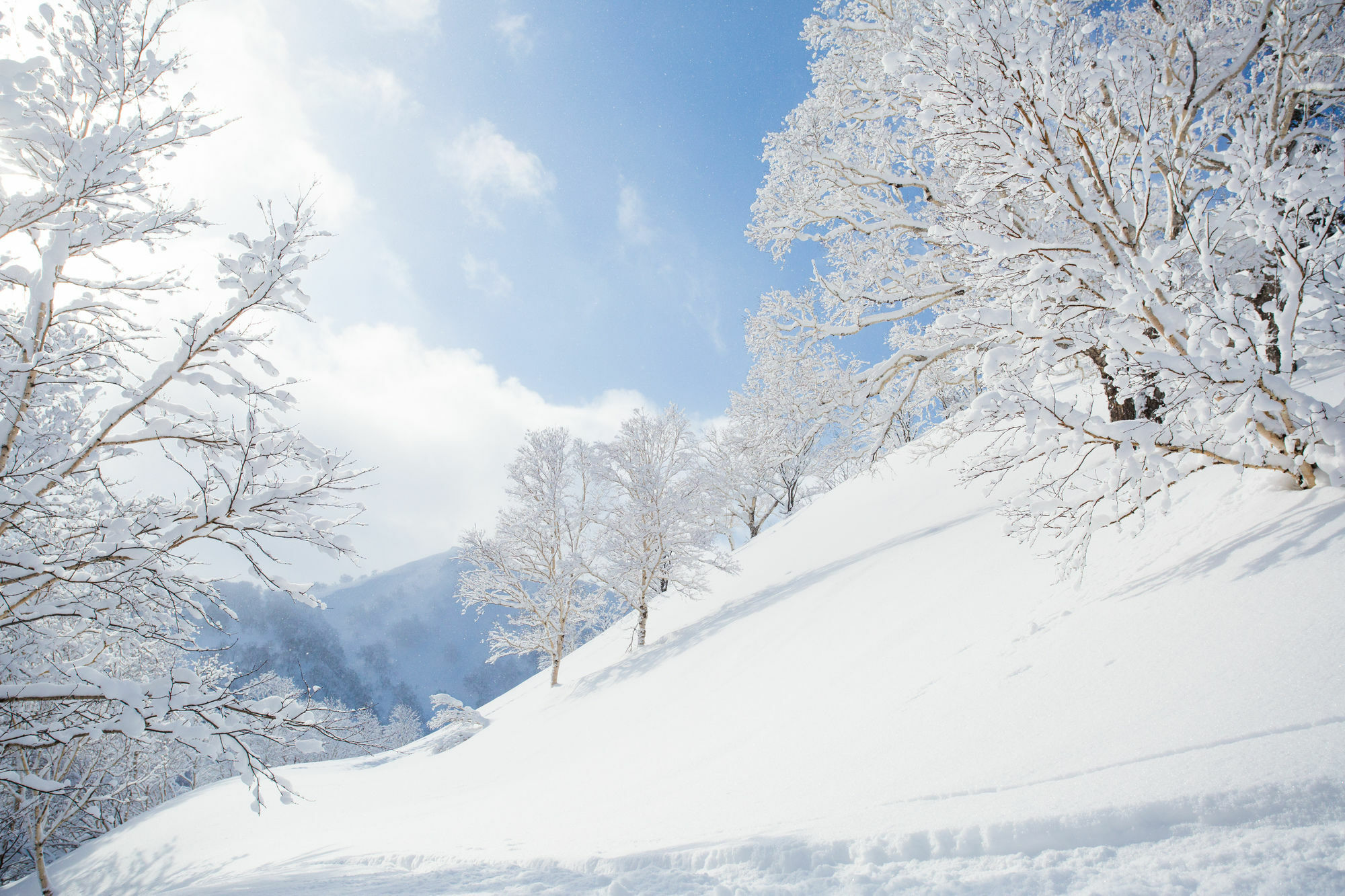 Pension Alice Hotel Niseko Exterior photo